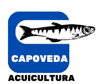 black and red modern fish market logo removebg preview